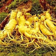 光彩抗衰护理